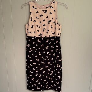 Ann Taylor Pink and Black Floral Midi Dress